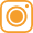 Instagram Icon